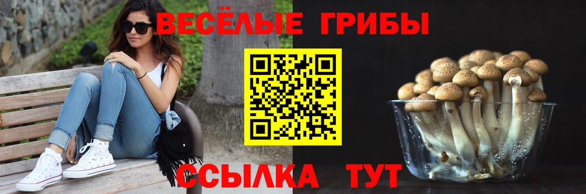 Псилоцибиновые грибы MAGIC MUSHROOMS Ноябрьск