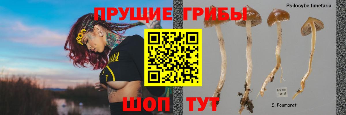 Ноябрьск  Галлюциногенные грибы прущие грибы  Вход с VPN  Псилоцибиновые грибы мухоморы 